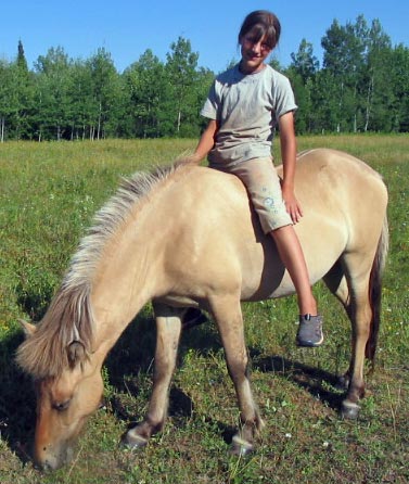 Lina, Icelandic Horse